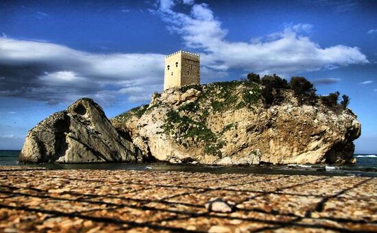 Aydın Çıkışlı Şile Ağva Abant Ormanya Turu