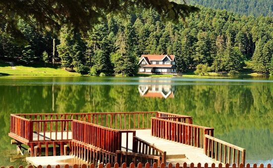 Aydın Çıkışlı Şile Ağva Abant Ormanya Turu