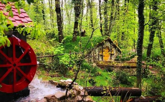 Aydın Çıkışlı Şile Ağva Abant Ormanya Turu