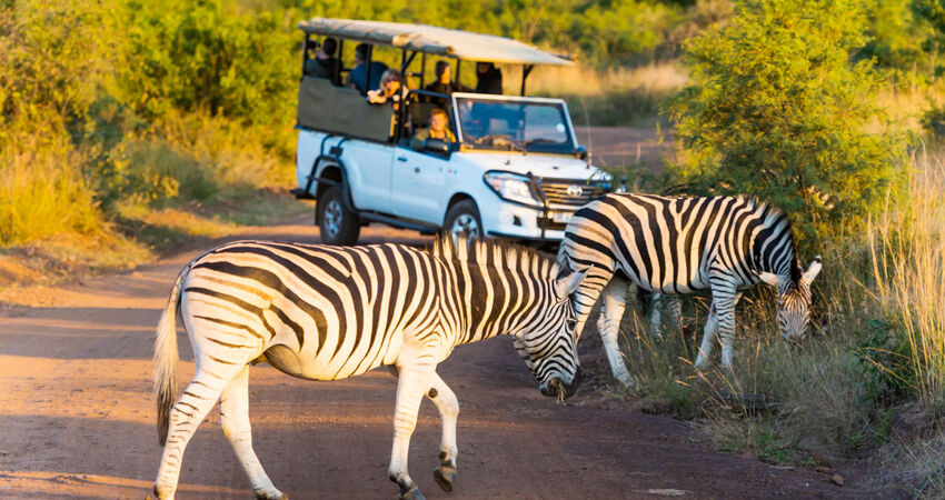 Flex Güney Afrika Turu