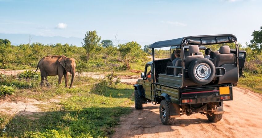 Flex Güney Afrika Turu