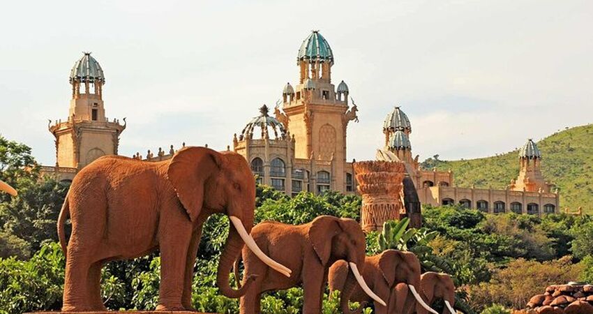 Flex Güney Afrika Turu