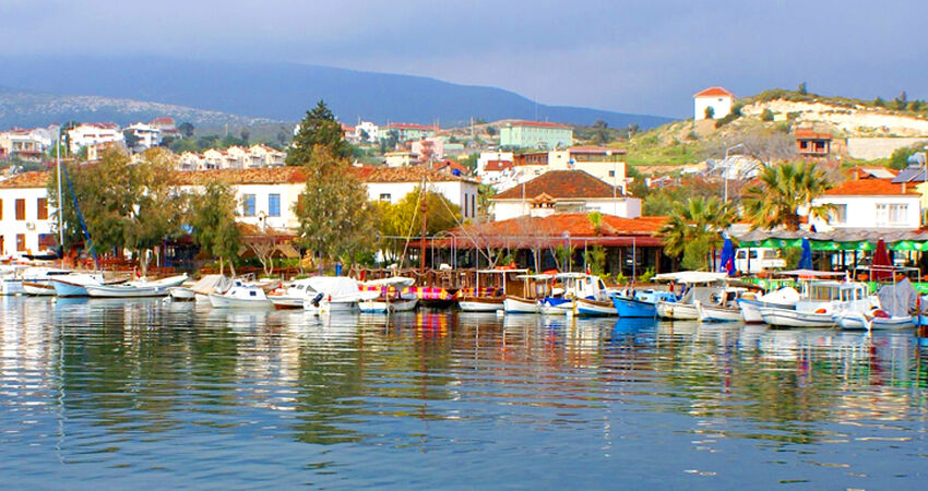 Aydın Çıkışlı Karaburun Nergis Çiçeği Festivali Turu