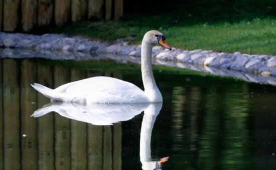  Aydın Çıkışlı Sapanca Maşukiye Şile Ağva Turu