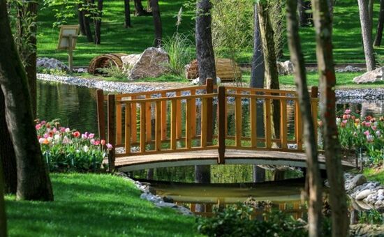  Aydın Çıkışlı Sapanca Maşukiye Şile Ağva Turu