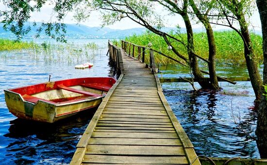  Aydın Çıkışlı Sapanca Maşukiye Şile Ağva Turu