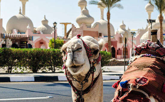 Aydın Çıkışlı Sharm El Sheikh Turu