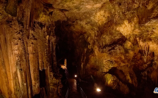 Aydın Çıkışlı Adana Portakal Çiçeği Festivali Mersin Hatay Turu