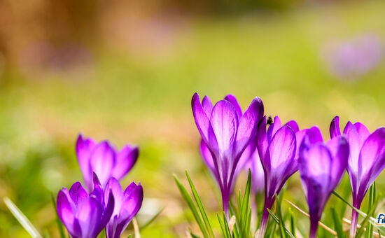 Aydın Çıkışlı Batı Karadeniz Turu Yılbaşı Özel