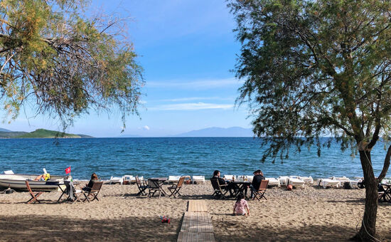 Aydın Çıkışlı Bodrum Acı Ot Festival Turu