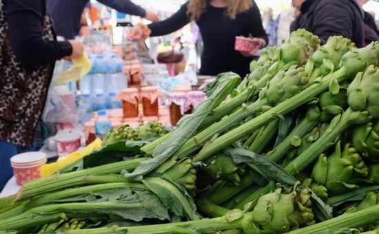 Aydın Çıkışlı Bodrum Acı Ot Festival Turu