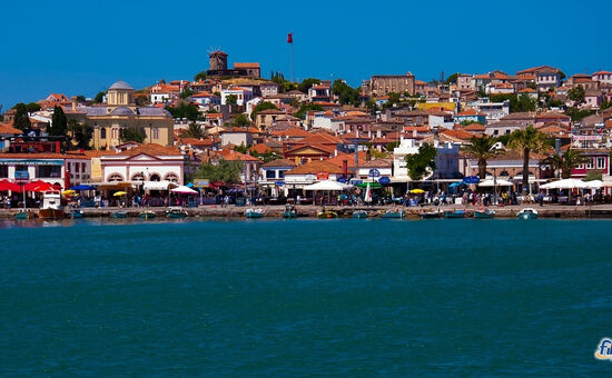 Aydın Çıkışlı Bodrum Acı Ot Festival Turu