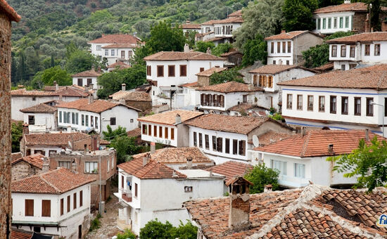 Aydın Çıkışlı Efes Şirince Meryemana Turu