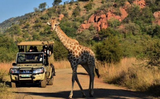 Flex Güney Afrika Turu