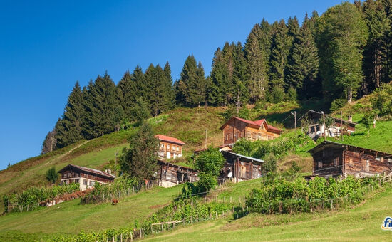 Aydın Çıkışlı Karadeniz Turu Fibar Özel