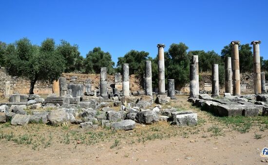 Aydın Çıkışlı Nysa Afrodisias Yenipazar Turu