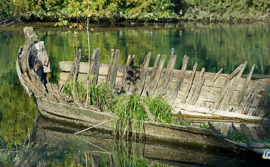 Aydın Çıkışlı Şile Ağva Abant Trilye