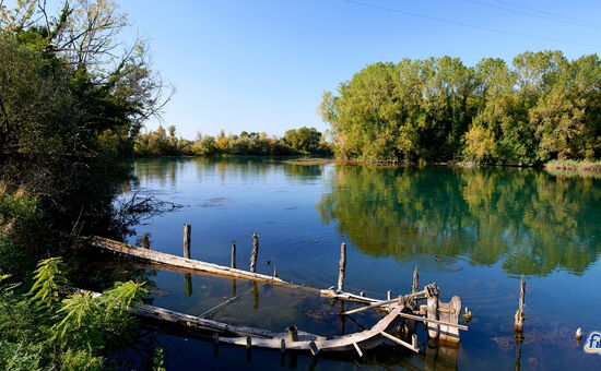 Aydın Çıkışlı Şile Ağva Abant Trilye