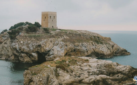 Aydın Çıkışlı Şile Ağva Abant Trilye