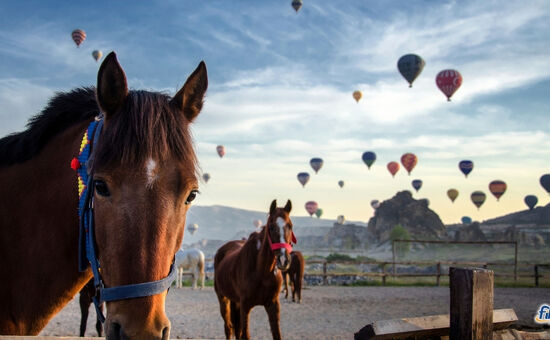 Nazilli Çıkışlı Kapadokya Rüya Turu (1 Gece)