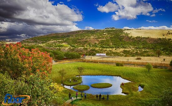 Aydın Çıkışlı Doğu Anadolu Turu