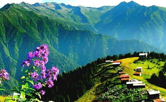 Nazilli Çıkışlı Uçaklı Karadeniz Turu