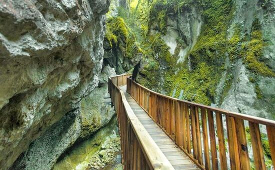 Aydın Çıkışlı Kastamonu Safranbolu Zonguldak Turu