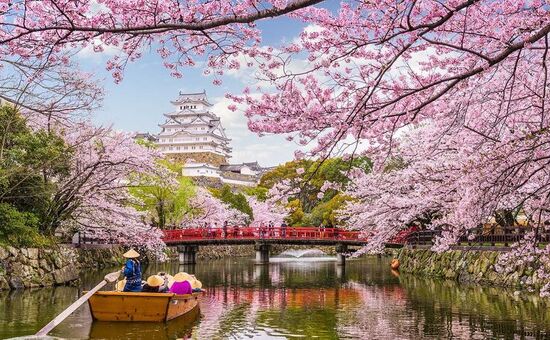 Aydın Çıkışlı Güney Kore & Japonya Turu