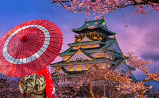 Aydın Çıkışlı Güney Kore & Japonya Turu