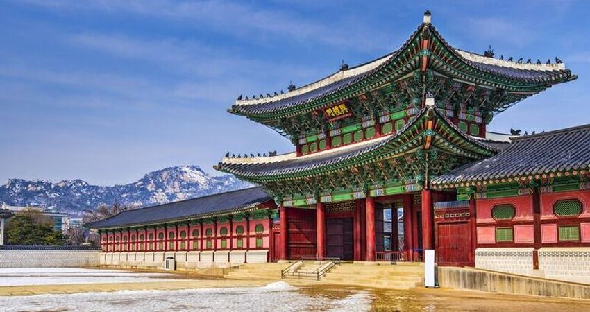 Aydın Çıkışlı Güney Kore & Japonya Turu