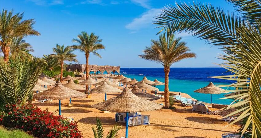 Aydın Çıkışlı Sharm El Sheikh Turu