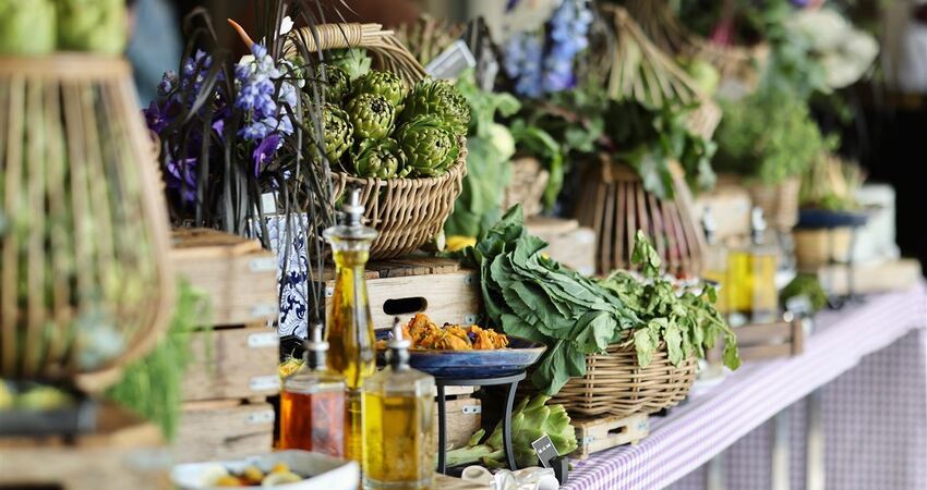 Aydın Çıkışlı Bodrum Acı Ot Festival Turu