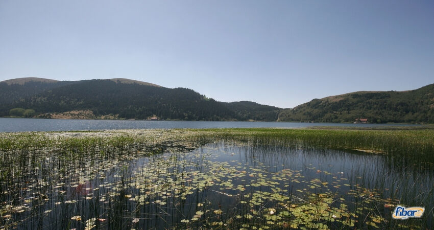 Aydın Çıkışlı Bayram Batı Karadeniz Abant Ormanya Safranbolu Yedigöller Amasra Turu