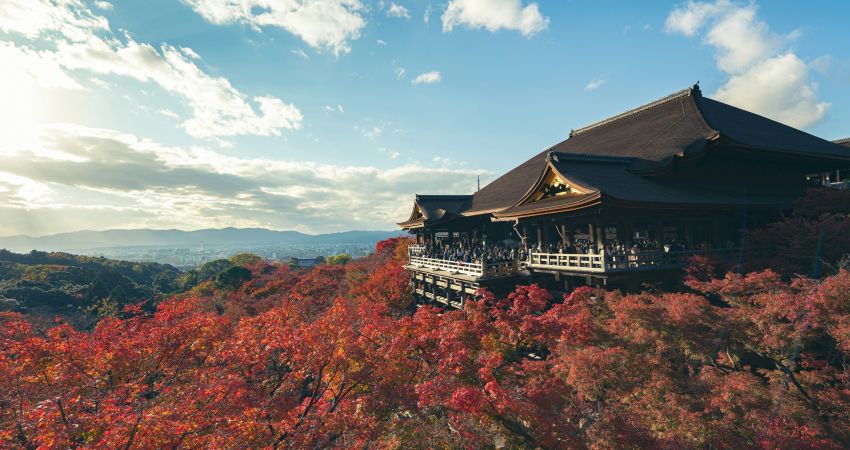 İstanbul Çıkışlı Elegant Japonya Türk Hava Yolları ile 7 Gece