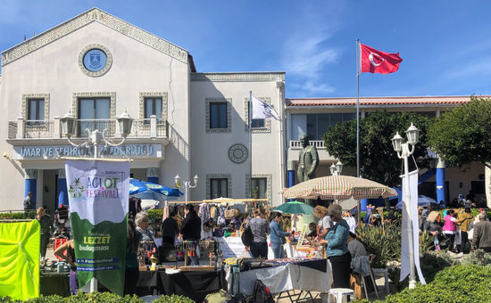 Aydın Çıkışlı Bodrum Acı Ot Festival Turu