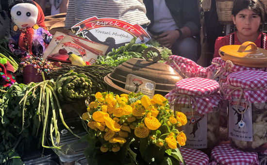 Aydın Çıkışlı Bodrum Acı Ot Festival Turu