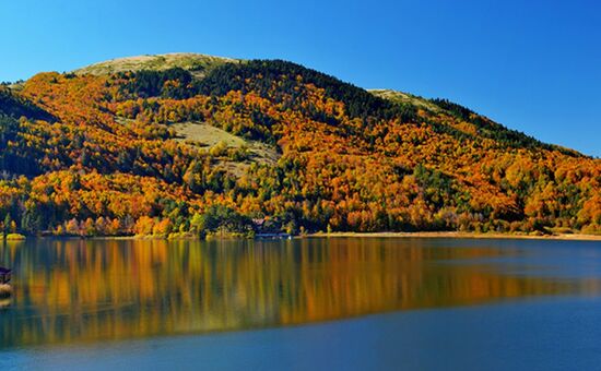 Aydın Çıkışlı Yedigöller Abant Ormanya Maşukiye  Turu