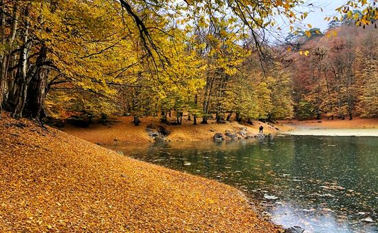 Aydın Çıkışlı Yedigöller Abant Ormanya Maşukiye  Turu