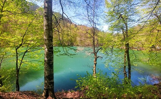 Aydın Çıkışlı Yedigöller Abant Ormanya Maşukiye  Turu