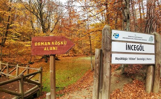 Aydın Çıkışlı Yedigöller Abant Ormanya Maşukiye  Turu