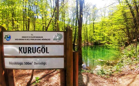 Aydın Çıkışlı Yedigöller Abant Ormanya Maşukiye  Turu