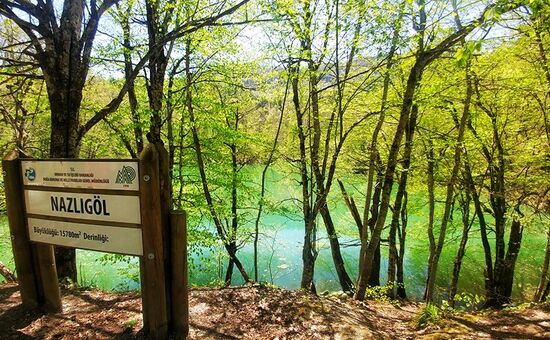Aydın Çıkışlı Yedigöller Abant Ormanya Maşukiye  Turu
