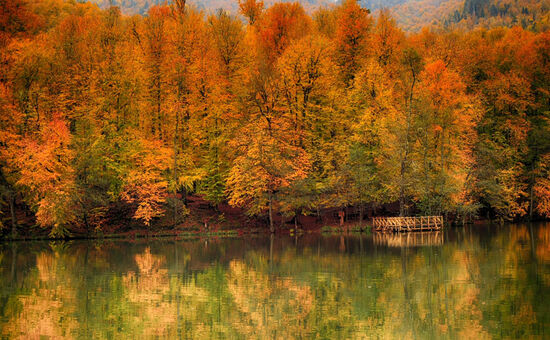 Aydın Çıkışlı Yedigöller Safranbolu Amasra Turu