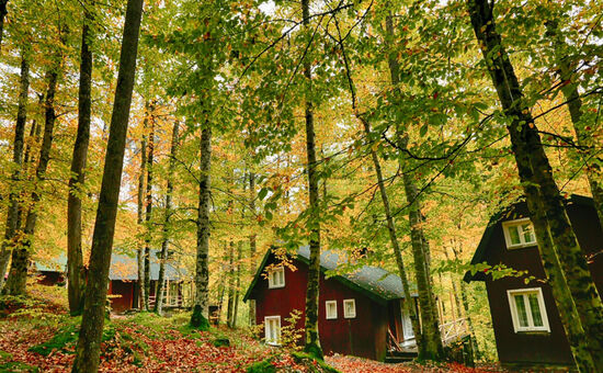 Aydın Çıkışlı Yedigöller Safranbolu Amasra Turu